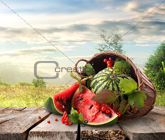 Watermelon and landscape