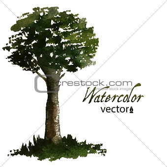 Watercolor green tree for your design