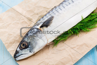 Fresh mackerel stuffed with dill