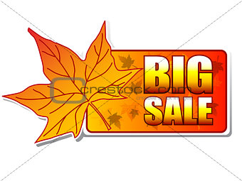 big sale autumn label with leaf 