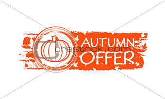 autumn offer drawn banner with pumpkin and fall leaves