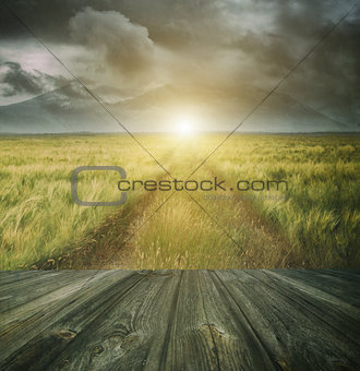 Wood floor with a prairie path in background 