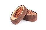chocolate candy with pecan nut