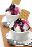 homemade blueberry ice cream