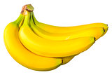 some bananas in a bunch on a white background