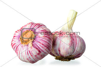 two garlic bulbs on a white background