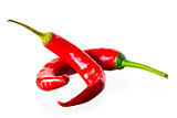 two bitter chili peppers on a white background