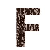 letter F made from oak bark