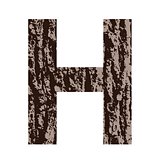 letter H made from oak bark