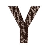 letter Y made from oak bark