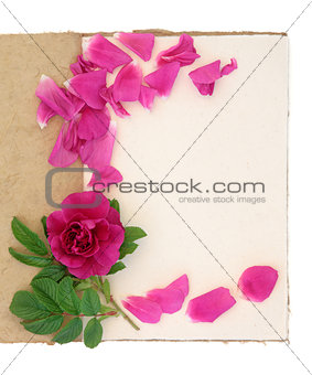 Rose Flower and Notebook