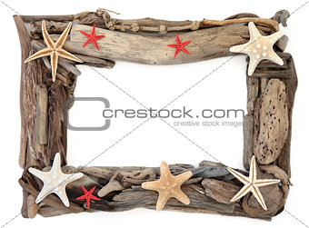 Driftwood and Starfish Frame
