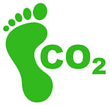 the ecological footprint