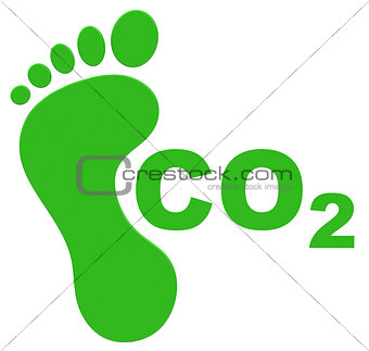 the ecological footprint