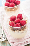 Yogurt with muesli and fresh raspberries