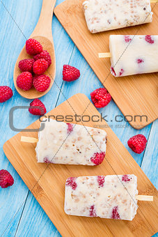 Frozen yogurt with oats and raspberries