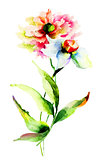 Watercolor illustration of flowers 