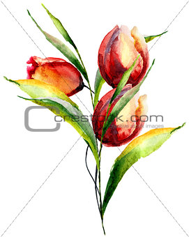 Stylized Tulips flowers