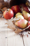 Pears and apples with fall leaves background
