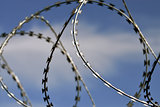 Barbed wire close up