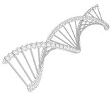 Illustration of wire-frame DNA chain
