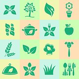 Organic cooking icons