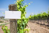 Grape Wine Vineyard with Wooden Post Holding Blank Sign