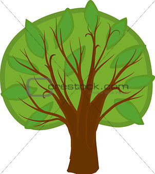Cartoon deciduous tree. Isolated