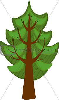 Cartoon conifer Tree. Isolated
