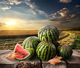 Watermelons on a table