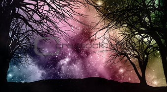 Starfield night sky with tree silhouettes