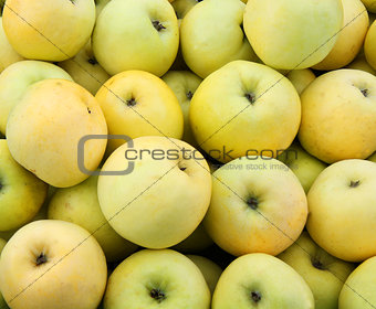 Yellow juicy fresh apples background