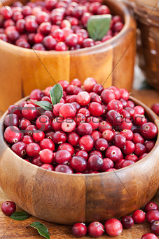 Fresh red cranberry 