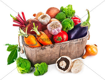 Harvest vegetables in wooden basket