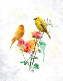 Watercolor Image Of Flowers And Birds