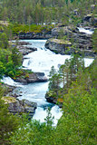 Summer mountain river (Norge)