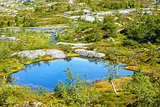 Summer mountain lake (Norway)