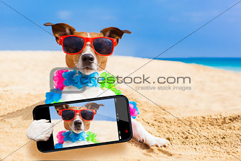 dog at the beach selfie