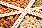 variety of nuts abstract