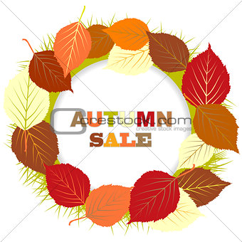 Autumn sale illustration with frame of leaves