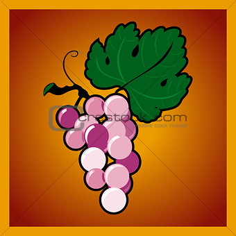 Grape bunch on red background