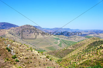 Landscape of Douro Valley, Portugal