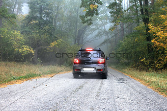 Car on a road in the forest