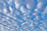 Cirrus clouds in blue sky