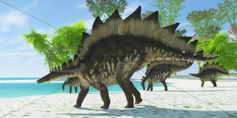 Stegosaurus Lake