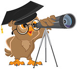 Owl astronomer looking through a telescope
