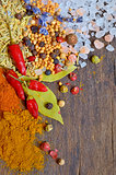 Colorful spices and herbs 