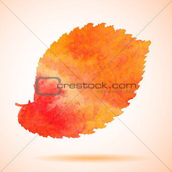 Orange watercolor painted vector elm tree leaf