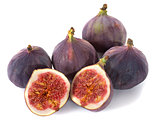 purple fig