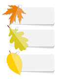 Autumn Leaves Infographic Templates for Business Vector Illustra
